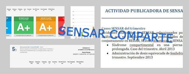 Boletín Actualización SENSAR: Actividad Publicadora  2013. Conclusiones y Objetivos