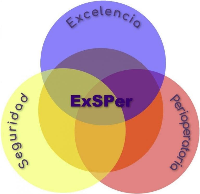 Newsletter Proyecto ExSPer – Verano 2026